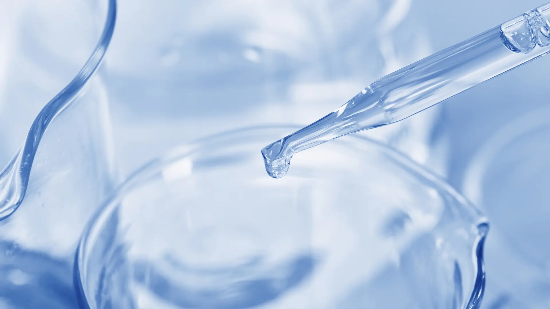 A close-up shot of a formulation.
