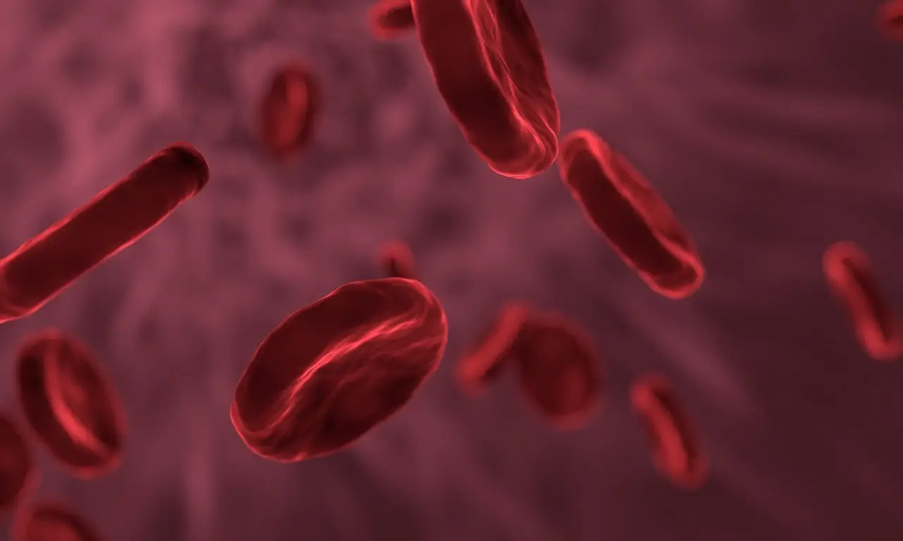 A close-up of red blood cells flowing through a vessel. The background is a blurred pinkish hue, highlighting the vibrant red, disc-shaped cells, some partially overlapping. The image conveys motion and the microscopic nature of the scene.