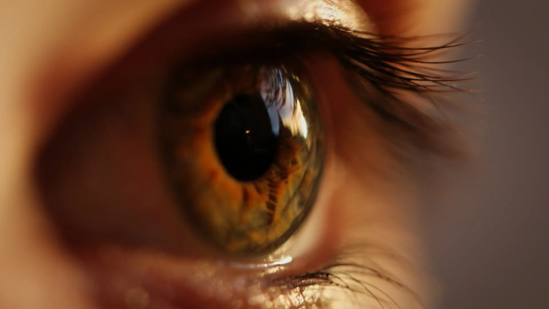 A close-up shot of an individual's eye and lashes.