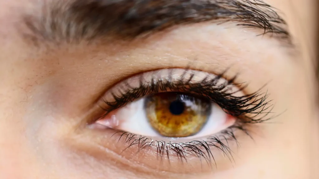 A close-up shot of an individual's light brown eye.