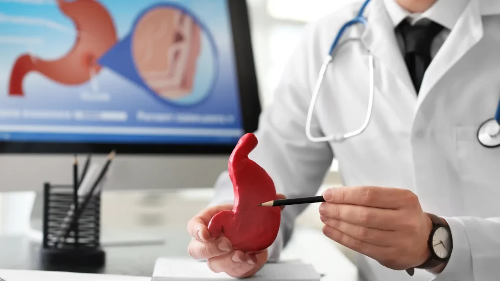 A medical professional explaining using a stomach model.